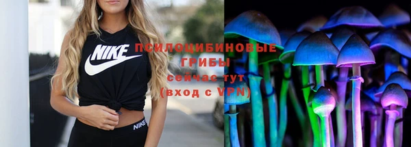дурь Богородицк