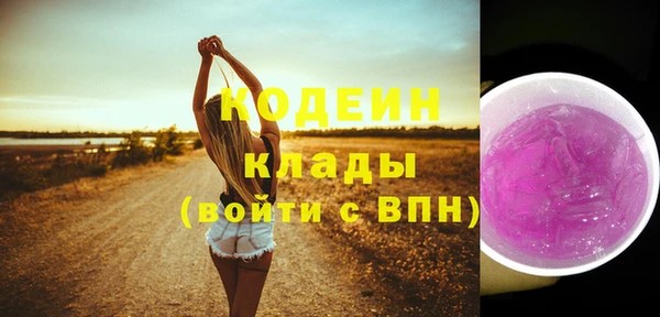 дурь Богородицк
